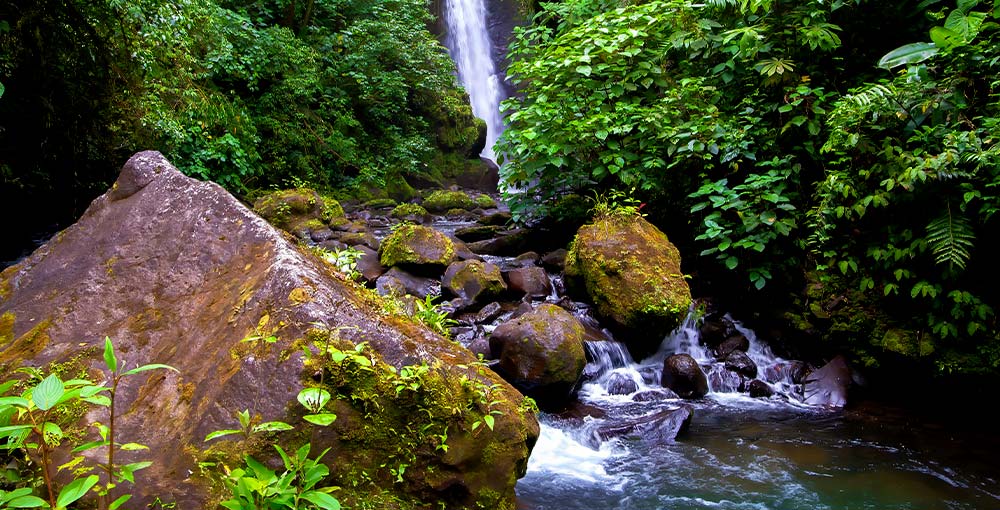 Photo of La Paz Waterfall Gardens, Cloud Forest