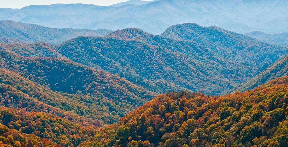 Exploring the Beauty of Great Smoky Mountains National Park
