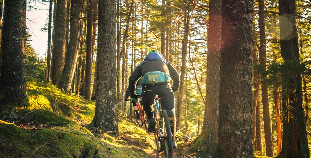 Explore a Paradise of Bike Trails on Two Wheels