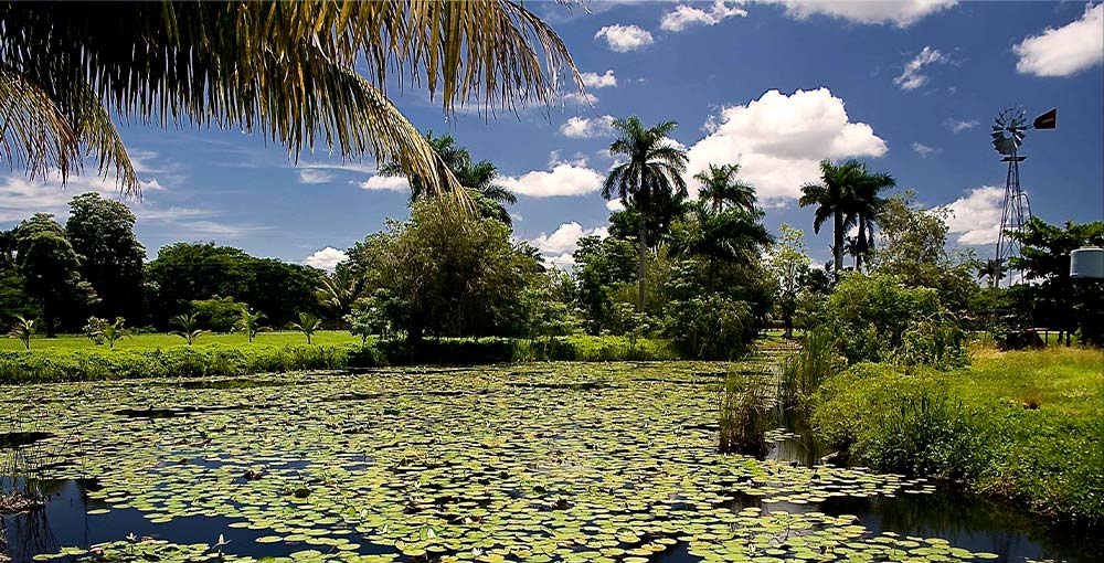 photo showing Ciénaga de Zapata National Park