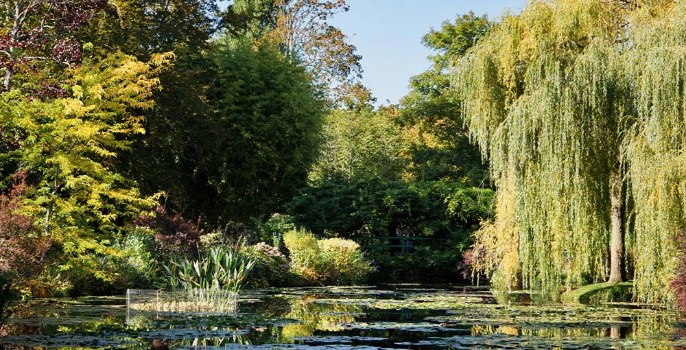 Giverny in spring: Monet’s timeless canvas of springtime wonders revealed.
