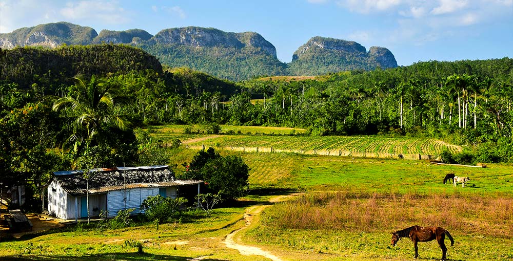 Exploring Havana's Countryside