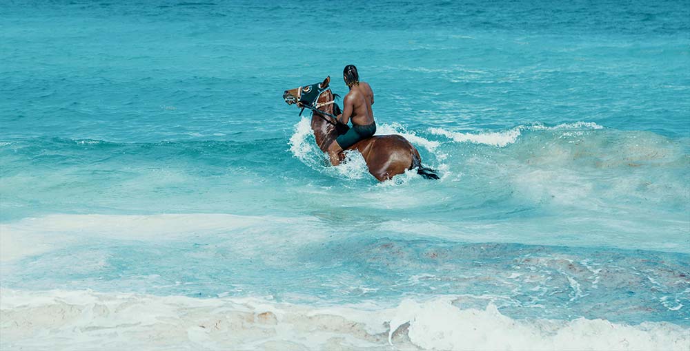 A man Horseback Riding on the Beach