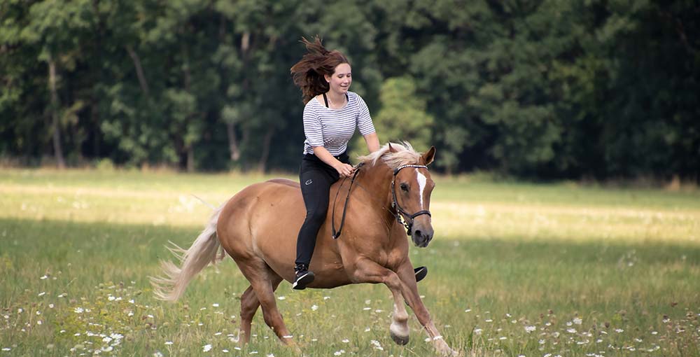 Embark on Horseback Adventures through Picturesque Landscapes