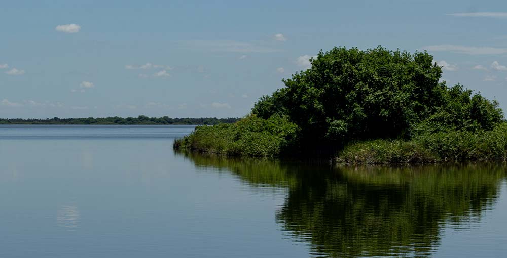 nature at Guama