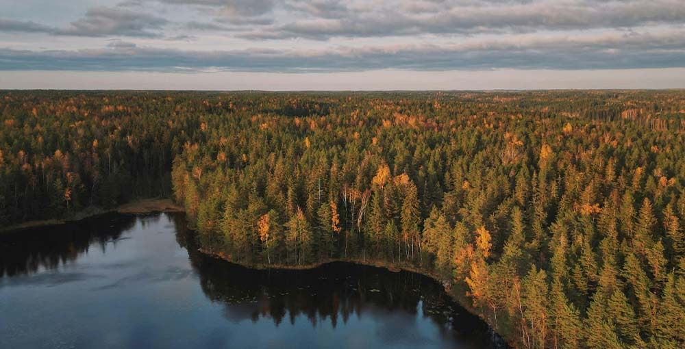 Enjoy Nature at Nuuksio National Park