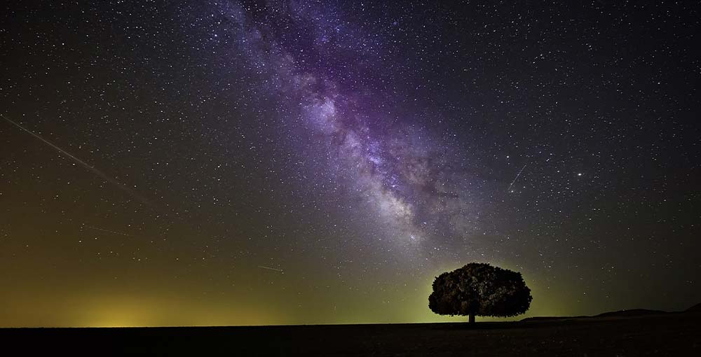 Experience breathtaking stargazing at Saguaro National Park, with its dark skies offering clear views of celestial wonders like stars, planets, and galaxies.