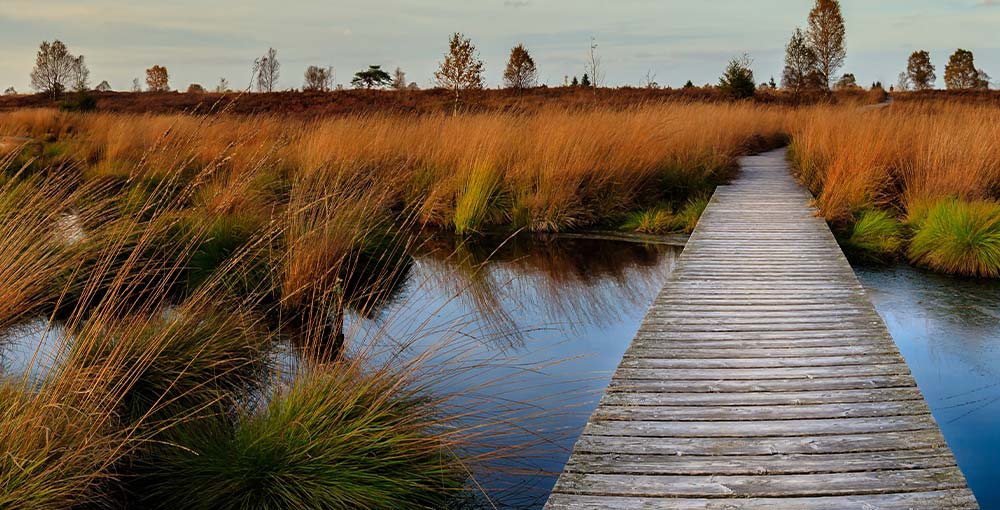 a waling path over the moorlands