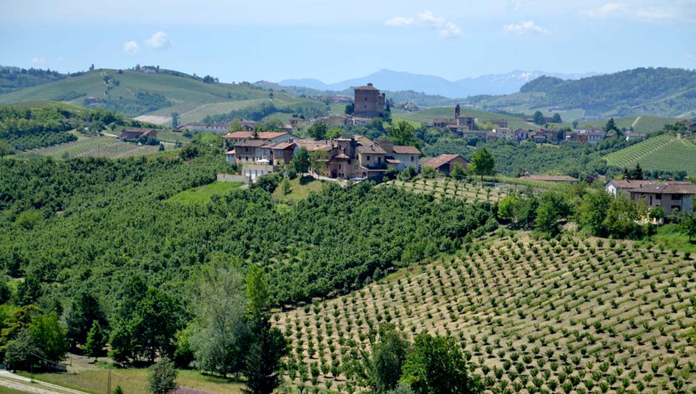 Exploring the Langhe: Hills, Wine, and Hazelnuts Tour