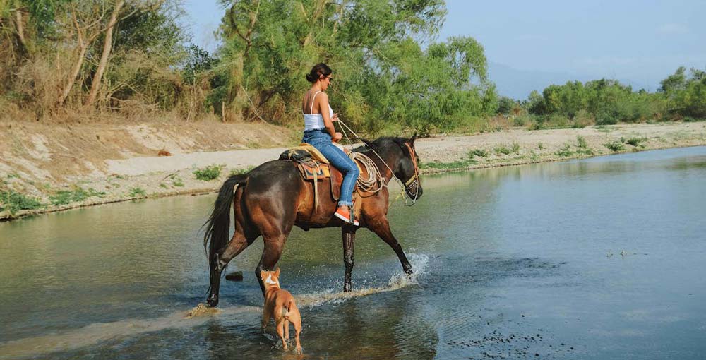 Experience Horseback Riding: Discover the Wilderness on Majestic Hooves