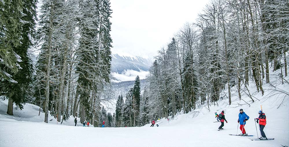 Skiers enjoying Mount Van Hoevenberg's pristine snow-covered slopes.