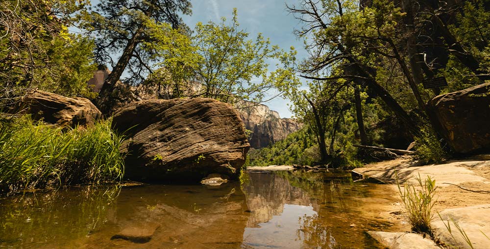 Uncover the Emerald Pools: Desert Oasis Delights