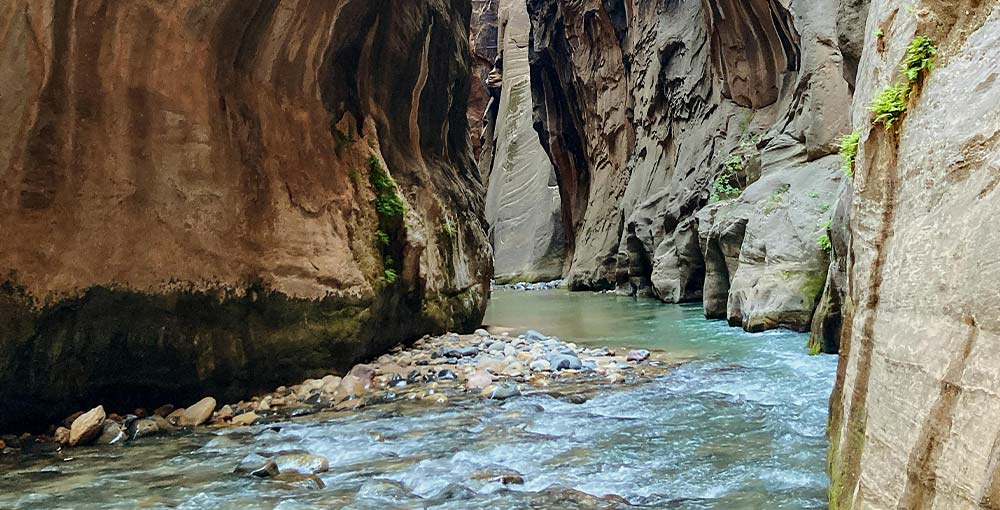 Stroll Along the Riverside Walk: Tranquility Along the Virgin River