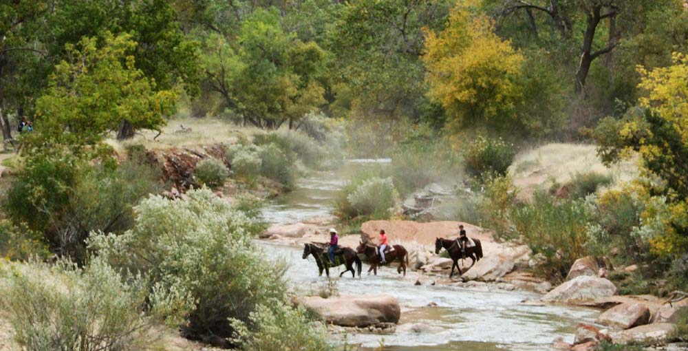 Saddle Up for Adventure: Discover Zion on Horseback