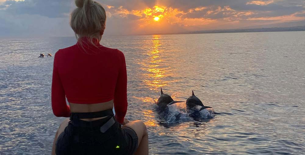 Experience the magic of sunset cruises and dolphin watching adventures.