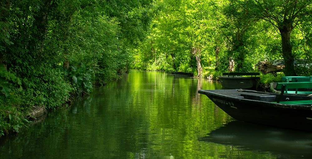 Explore the Marais Poitevin: An enchanting green oasis nestled in the tranquil landscapes of Western France, inviting you to discover its natural wonders and serene beauty.