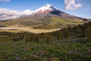 Discover Cotopaxi National Park