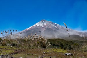 Take Scenic Drives Through Avenue of Volcanoes